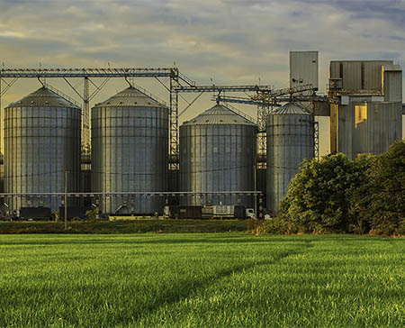 Grain Industry